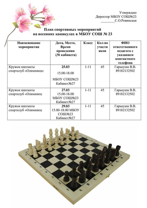 5.-шахматы